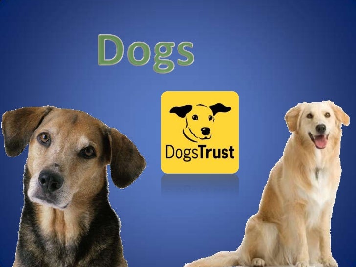 what are all the cross breeds in tap zoom what are all the cross breeds in tap zoom